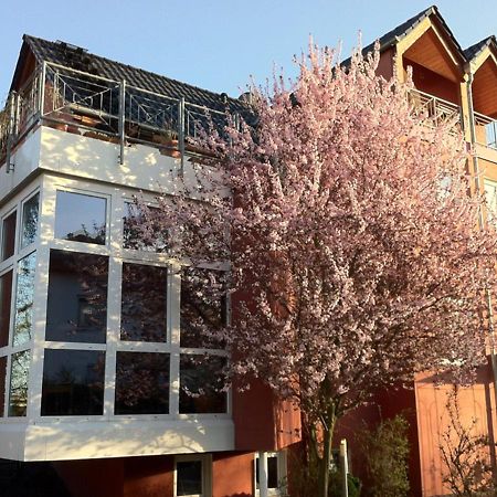 Gaestehaus Kirschgarten ボーデンハイム エクステリア 写真