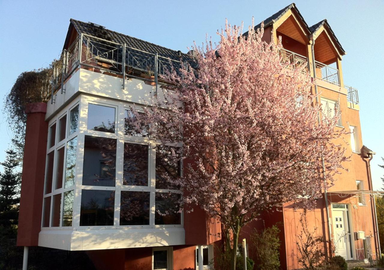 Gaestehaus Kirschgarten ボーデンハイム エクステリア 写真